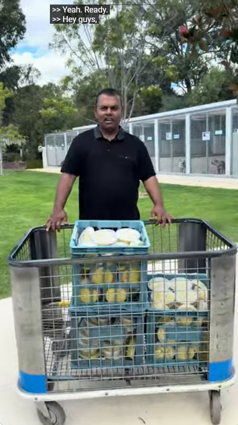 125 Dog Meals Delivered to Dogs Refuge Home